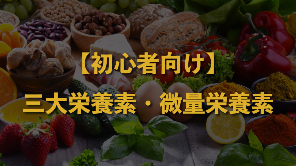 サムネイル＿【初心者向け】栄養摂取とは何か・三大栄養素と微量栄養素とは何か