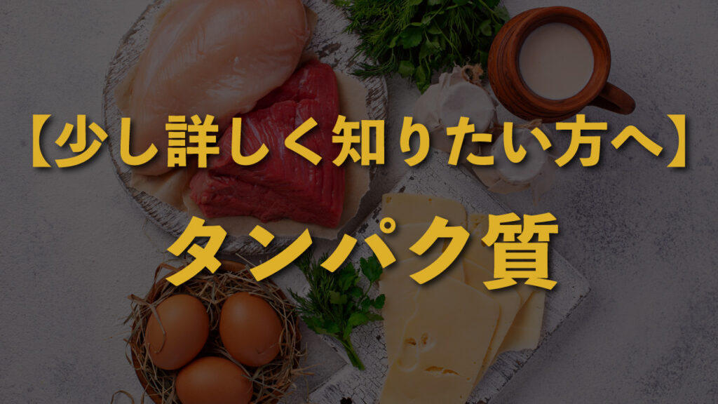 サムネイル＿【少し詳しく知りたい方へ】タンパク質って、何ですか？