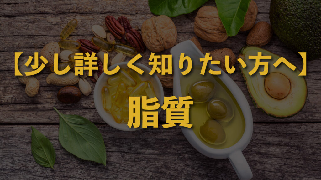 サムネイル_【少し詳しく知りたい方へ】脂質って、何ですか？